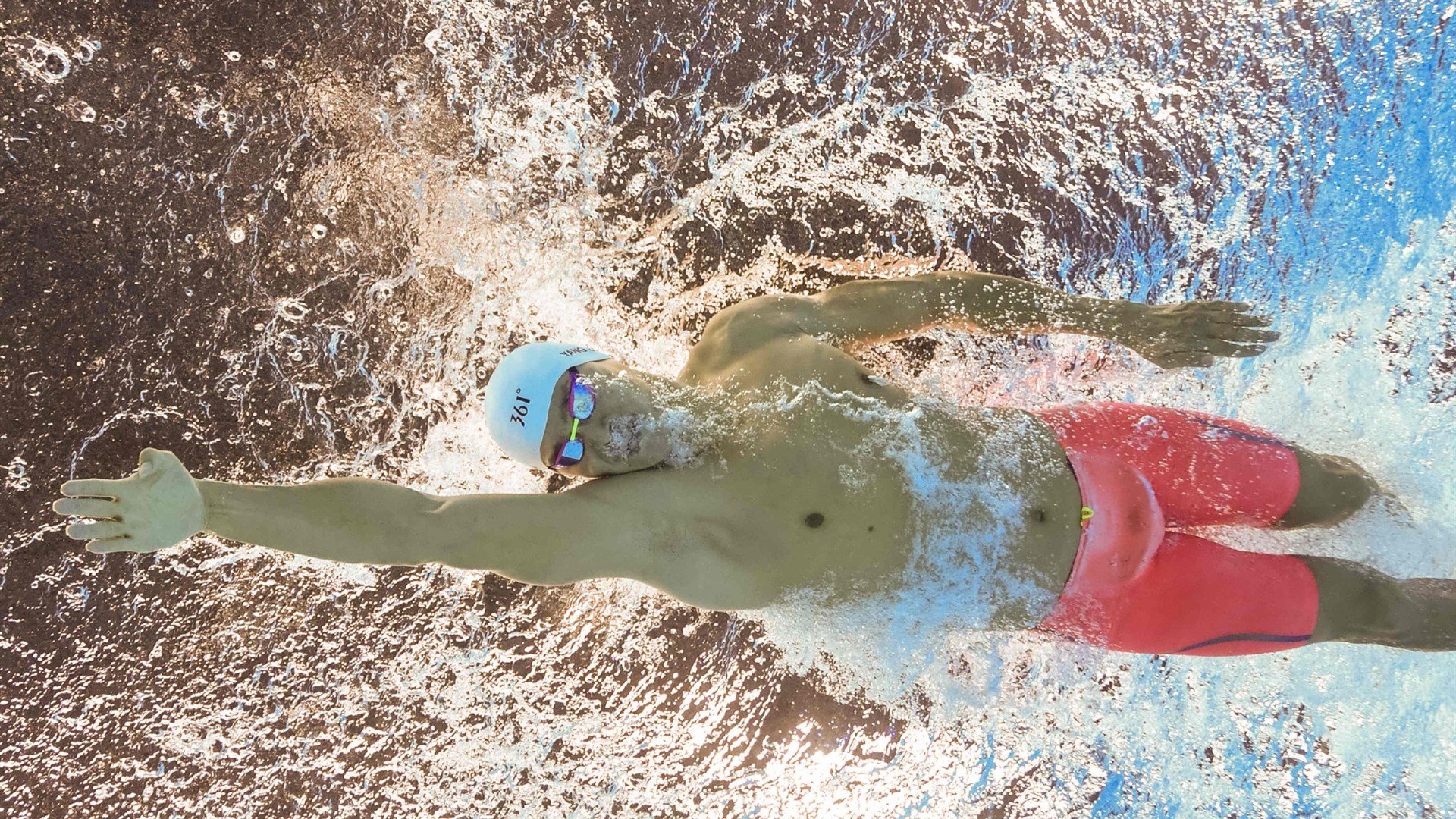 国际宠物马拉松“萌宠杯” 活动强调低强度娱乐为主